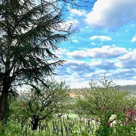 فندق Les Gris فيلفرانش-دي-رويرغ