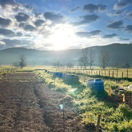 Les Gris فيلفرانش-دي-رويرغ