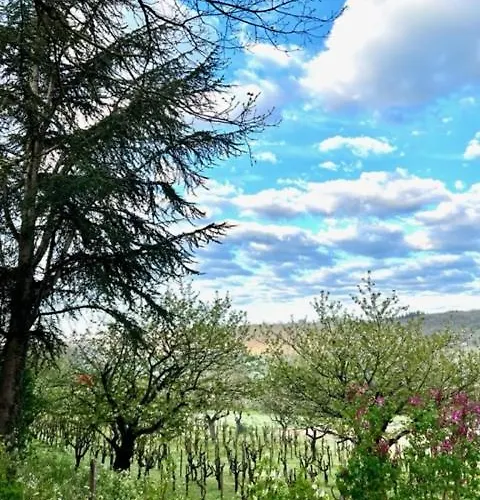 Ξενοδοχείο Les Gris Villefranche-de-Rouergue