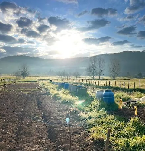 Les Gris Villefranche-de-Rouergue